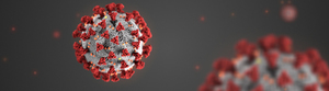 Coronavirus Update